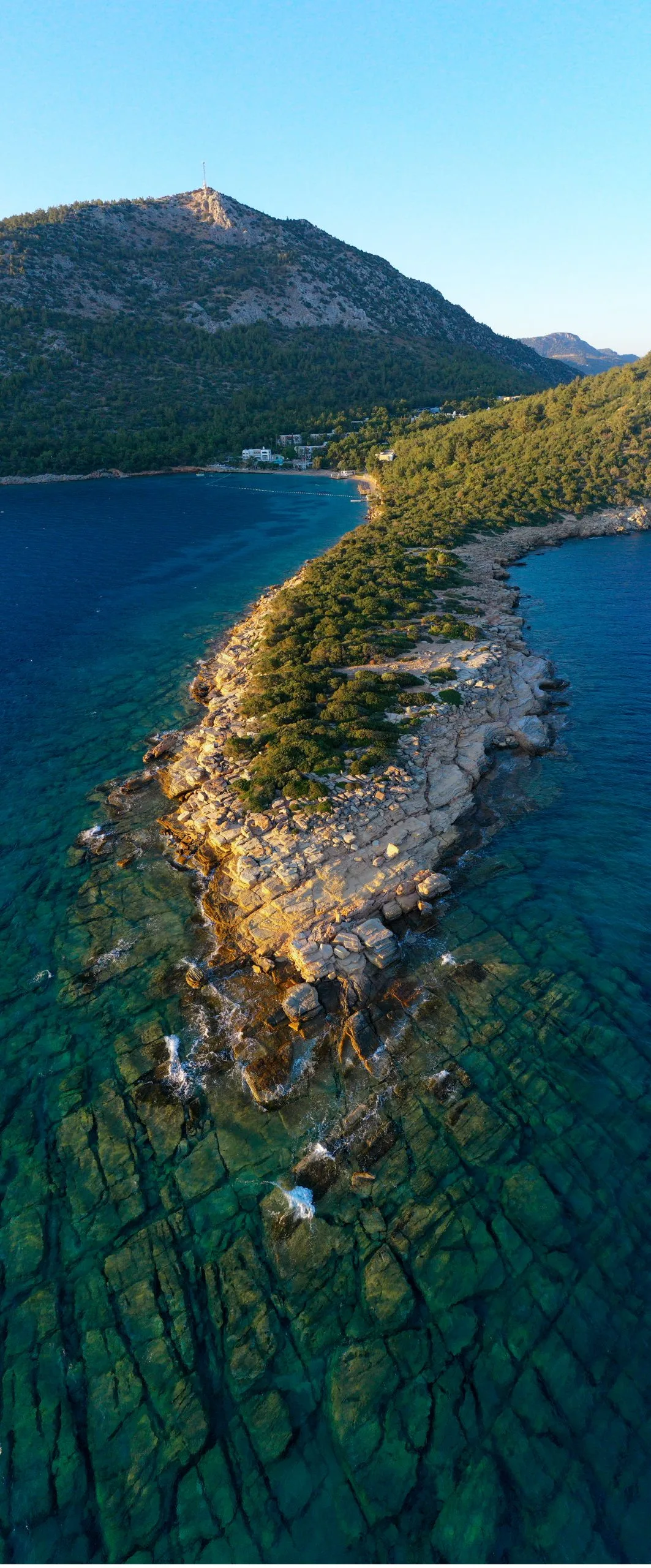 Çam ormanının içinde, Gökova'nın kıyısında