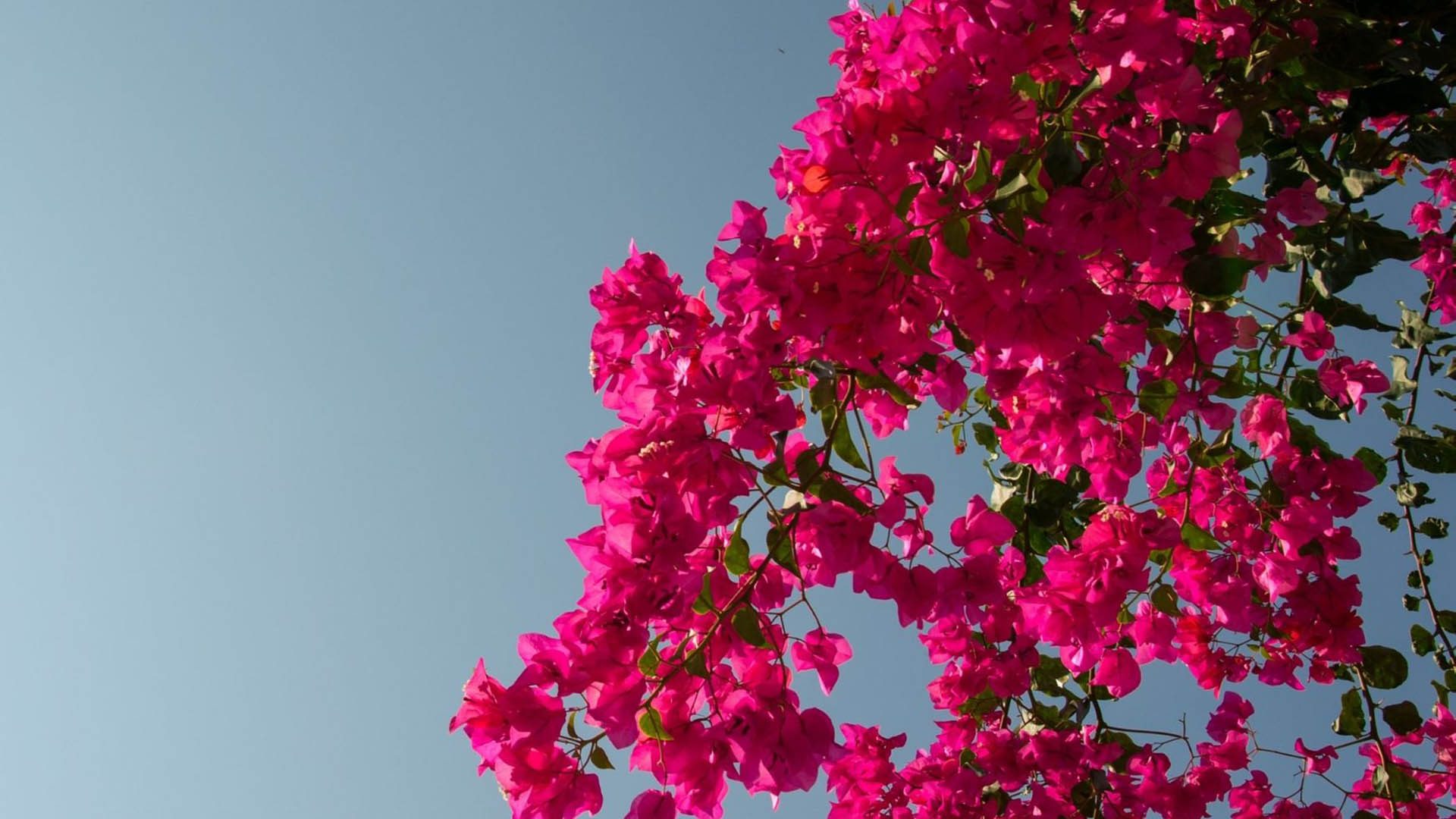 Mini Bodrum